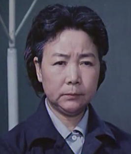 法庭内外(1980年连文、陆小雅执导的电影)