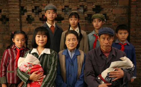 我的孩子我的家(2010年毛卫宁执导的电视剧)