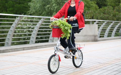 磁动车(锂电池为动力源的车)