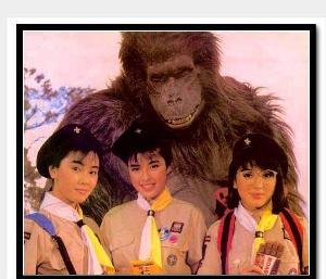 开心乐园(1985年中国香港麦当杰导演的电影)
