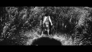 鬼婆(1964年新藤兼人执导电影)