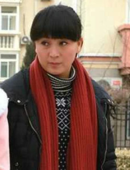 家有一老(2013年沈燕林执导的电视剧)
