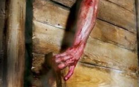 华氏247度(2011年丝柯·泰勒-考普主演的电影)