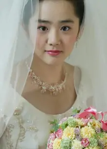我的小小新娘(韩国2004年金浩俊执导的电影作品)