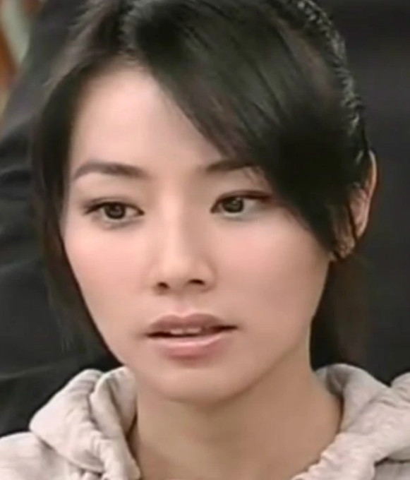宝岛少女成功记(2006年冯兴华执导的电视剧)