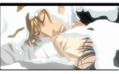 BL动漫(动漫作品类别名词)