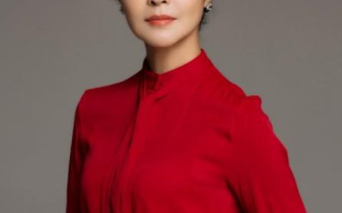 乡村守望的女人(2014年李艳秋执导电影)