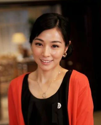 南国有佳人(2010年尤小刚执导的电视剧)