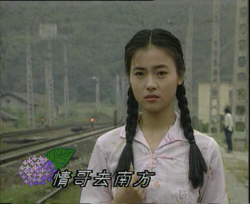 情哥哥去南方(陈思思演唱的歌曲)