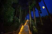 峨眉半山七里坪(峨眉半山七里坪项目)