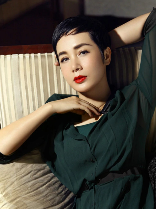 女人帮(2013年刘心刚执导的电视剧)