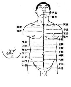会阴穴(位于人体肛门和生殖器的中间凹陷处的穴位)