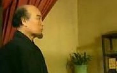 阿依纳伐(电视剧中的人物)