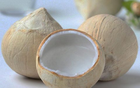 椰子水(天然植物水)