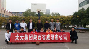 大大集团(上海市陆家嘴金融公司)