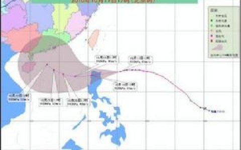 台风鲇鱼(2010年第13号超强台风)