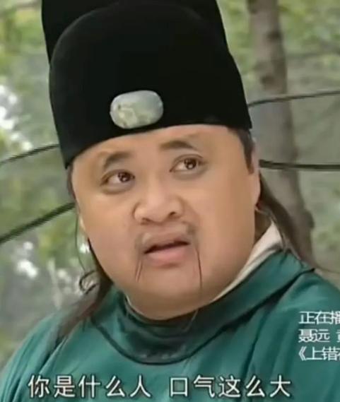 上错花轿嫁对郎(2000年张子恩导演电视剧作品)