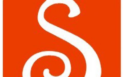 次世代功放(日本音响厂家推出的品牌)