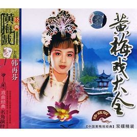 黄梅戏大全(经典戏曲)