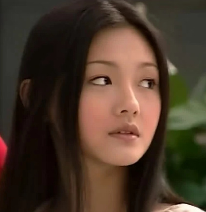 流星花园(2001年蔡岳勋执导电视剧)