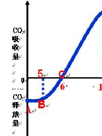 光合作用反应式(生物领域术语)