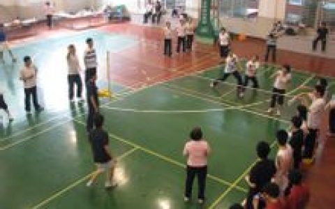 软式排球(群众体育项目)