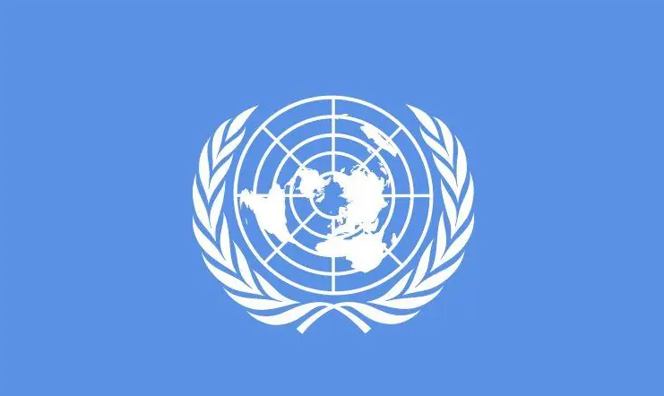 国际(政治用语)