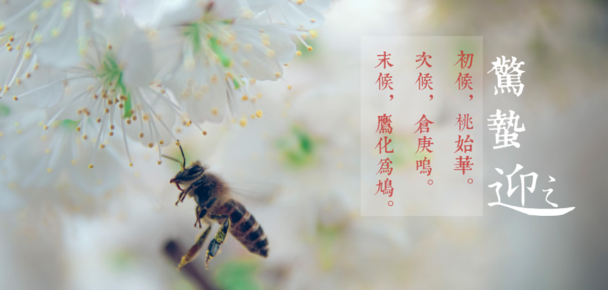 惊蛰(二十四节气中的第三个节气)