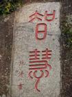 智慧(汉语词语)