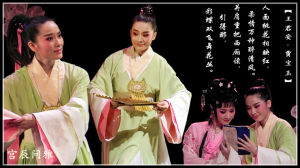 王君安(越剧小生演员)