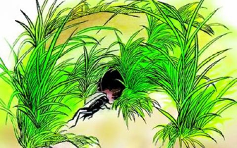 蟋蟀的住宅(让·亨利·卡西米尔·法布尔创作的生物著作)