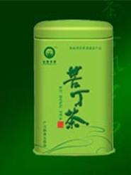 苦丁茶(冬青科冬青属苦丁茶种常绿乔木)