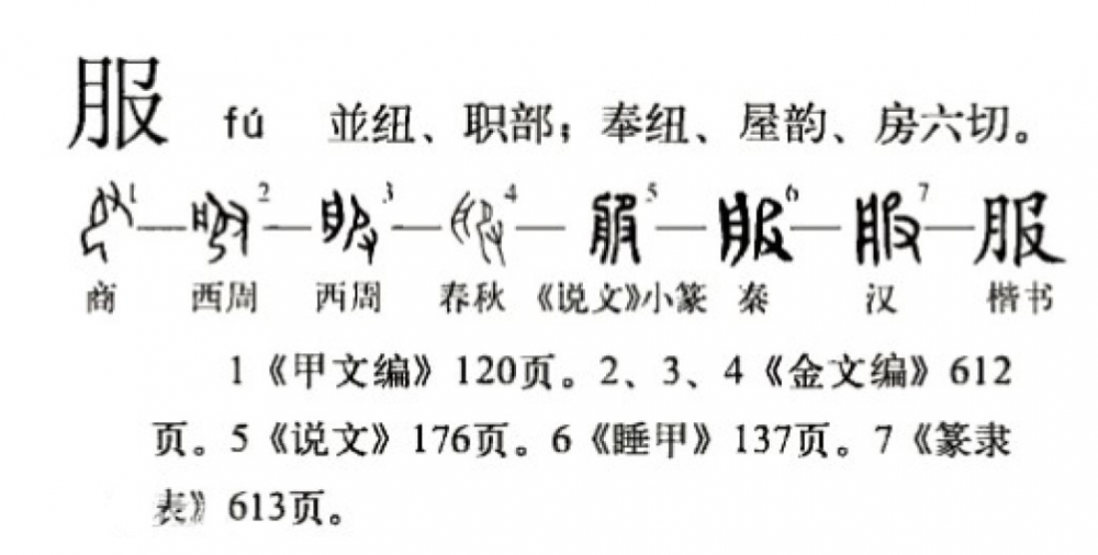 服(汉语汉字)