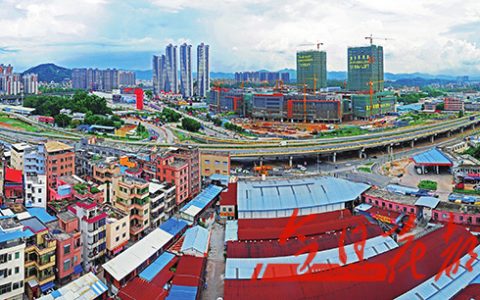 狮岭(狮岭花都区辖镇)