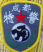 黑豹特警队(特警队)