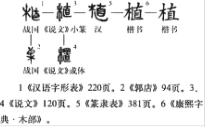 植(汉语汉字)