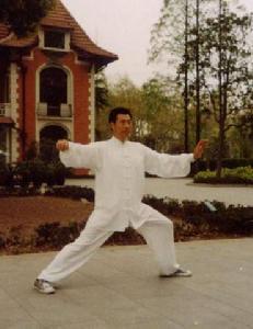 武式太极拳(传统太极拳五大流派之一)