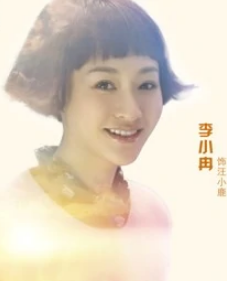 老婆大人是80后(2015年刘进执导电视剧)