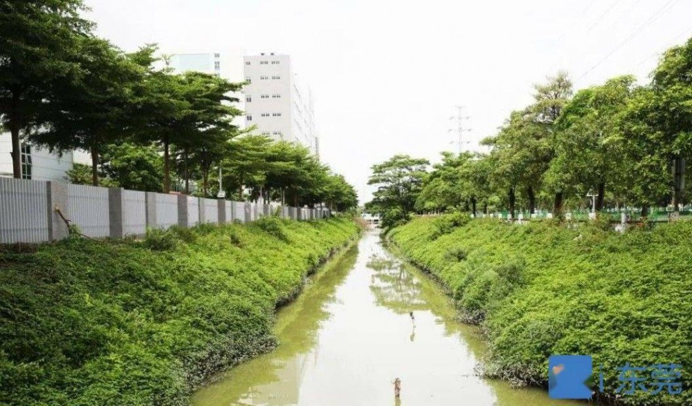 石碣镇(广东省东莞市下辖村)