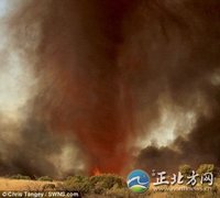 自然现象(不在人为作用下产生的表现)