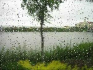 梅雨(持续阴天有雨的气候现象)