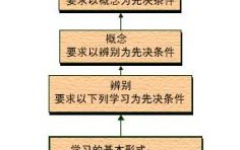 认知策略(汉语词语)