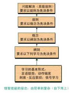 认知策略(汉语词语)