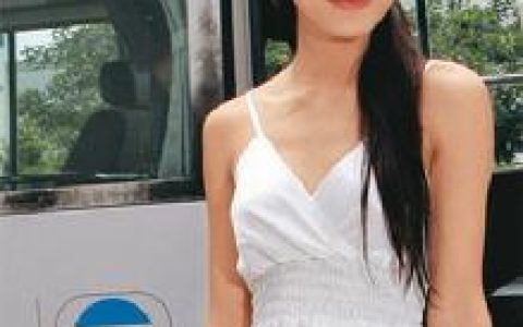 姚婷芝(中国2008年度香港小姐参赛人员)