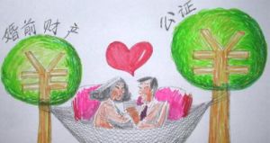 婚前财产(法律名词)