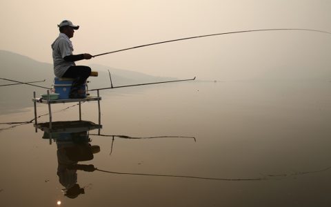 鱼线(汉语词语)
