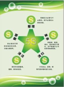 S管理(企业管理模式)"