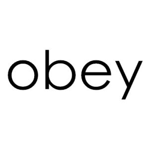 obey(英语单词、主要用作动词)