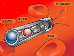纳米机器人(纳米尺度上可编程的分子机器人)