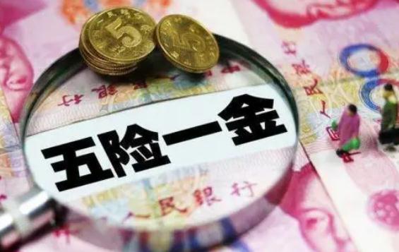 五险一金(保险名词)